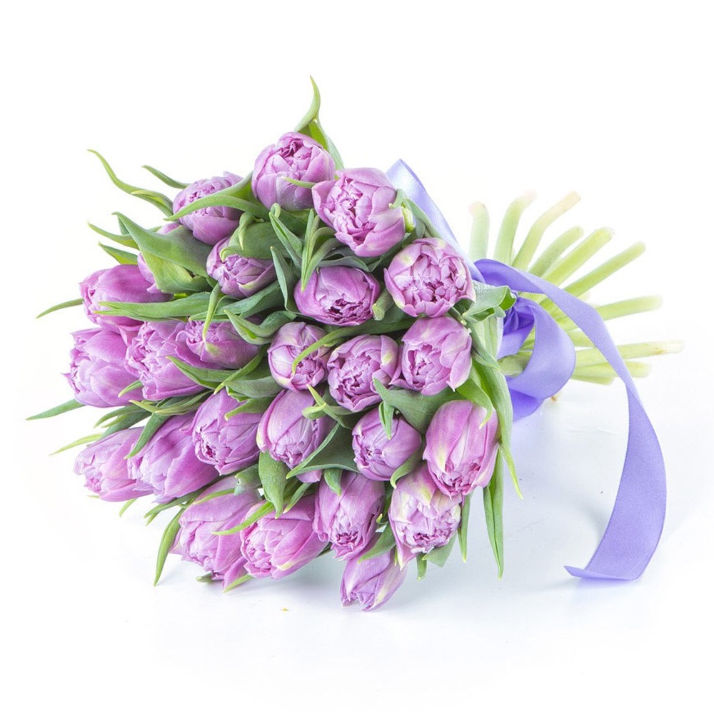 25 Сиреневых пионовидных тюльпанов