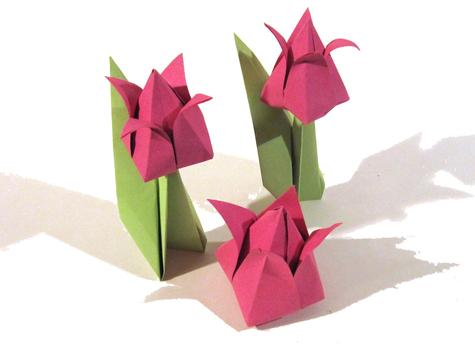 Тюльпаны из бумаги легкие для детей. Оригами тюльпан. Красный тюльпан оригами. Тюльпан оригами пошаговая. Объемные тюльпаны из бумаги.