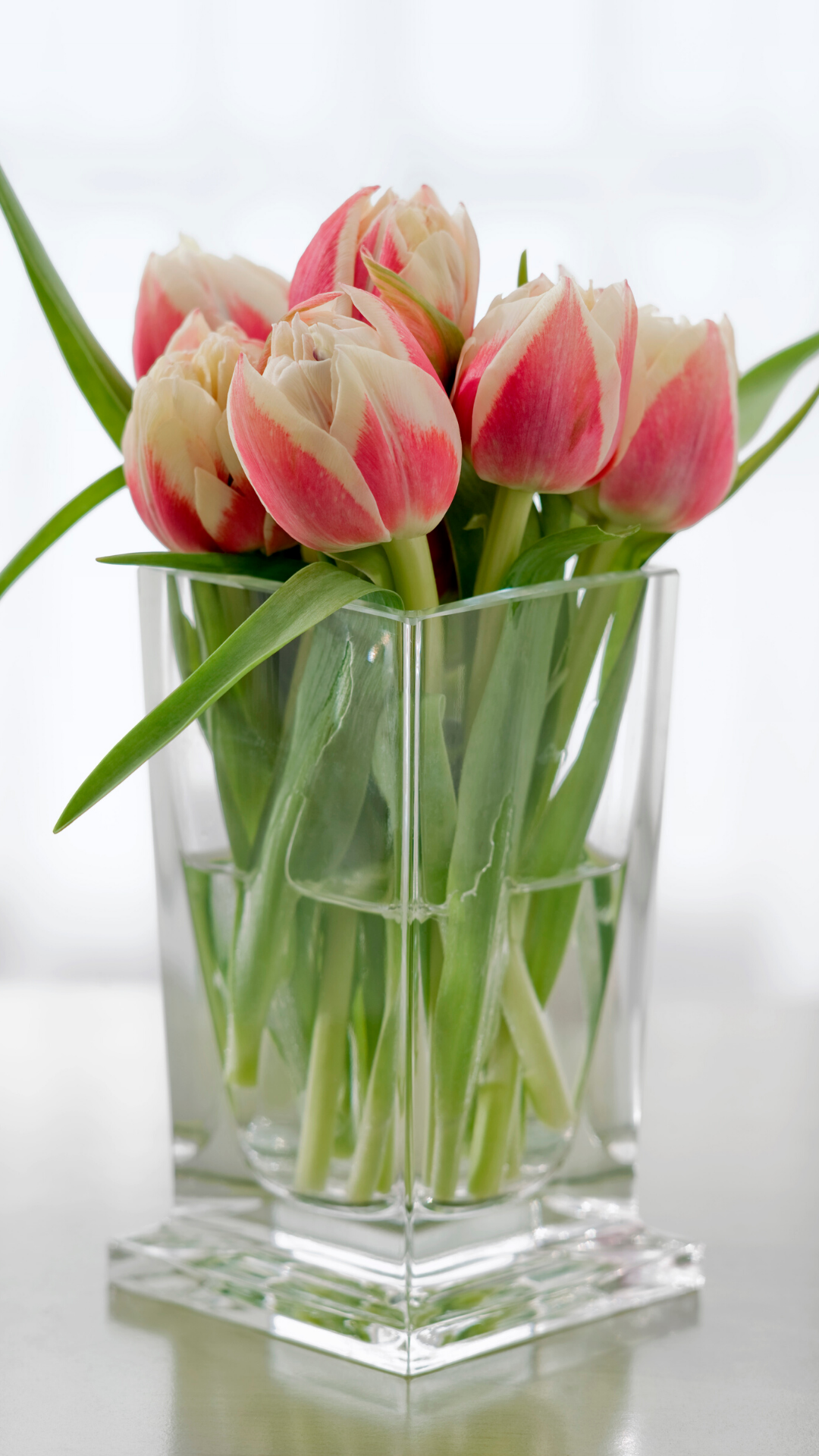 Как часто менять воду тюльпанам в вазе. Тюльпаны в прозрачной вазе. Тюльпаны в стеклянной вазе. Стеклянные тюльпаны. Тюльпаны в вазе.