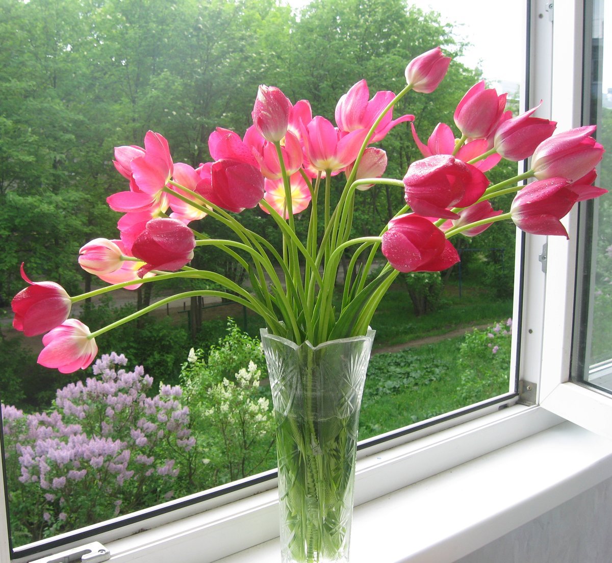Для тюльпанов какая вода нужна в вазе. Цветы на окне. Тюльпаны на подоконнике. Подоконник с цветами. Цветочки на окна.
