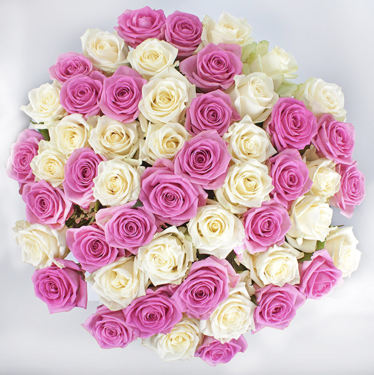 Розовый букет. Бело розовые розы. Букет бело-розовых роз. Букет из белых и розовых роз.