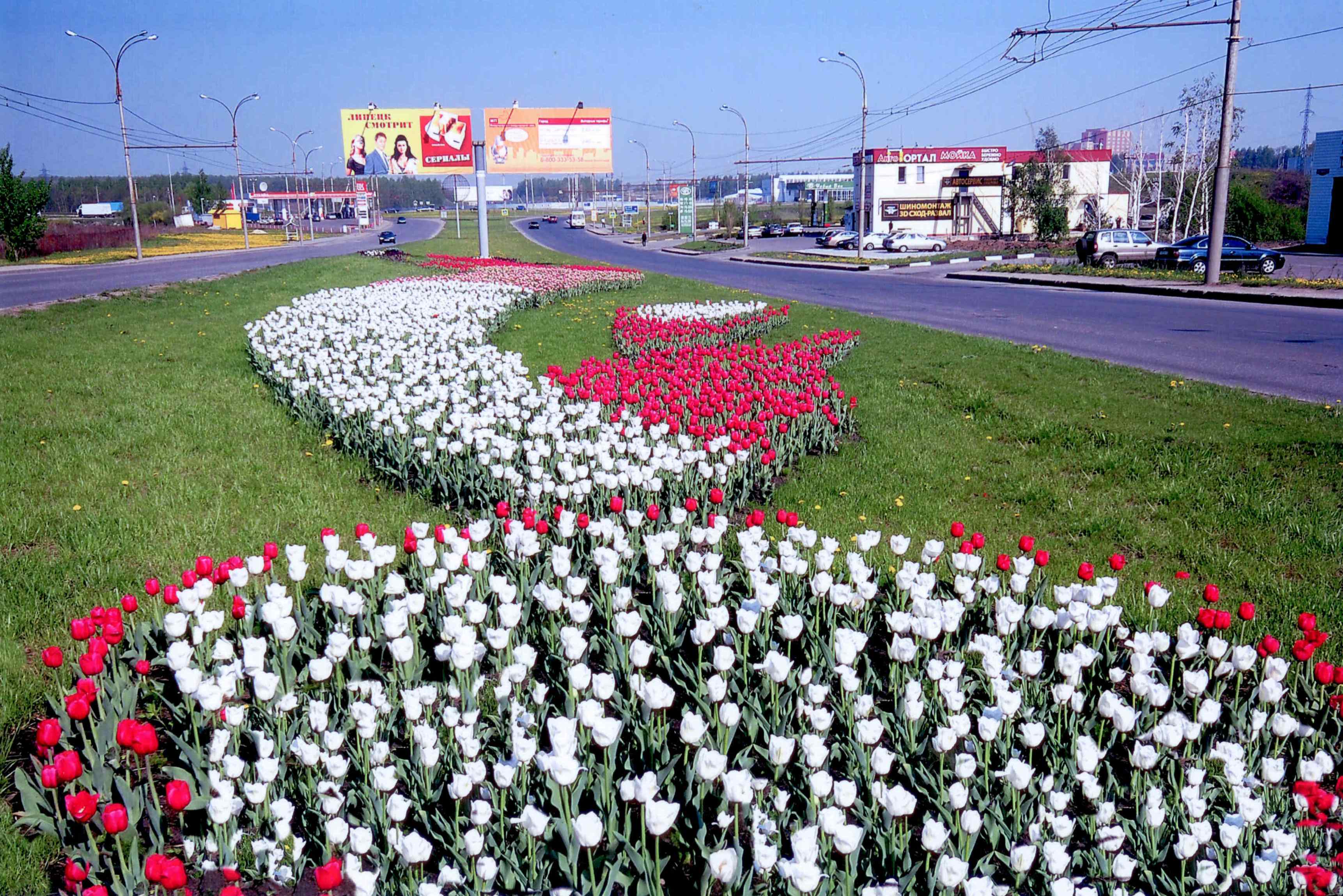Парк тюльпанов в Белгороде