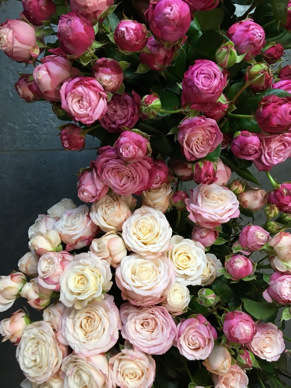Сорта мелких роз с фото и названиями