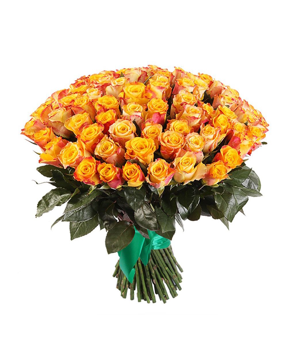 Розы Эквадор Silantoi