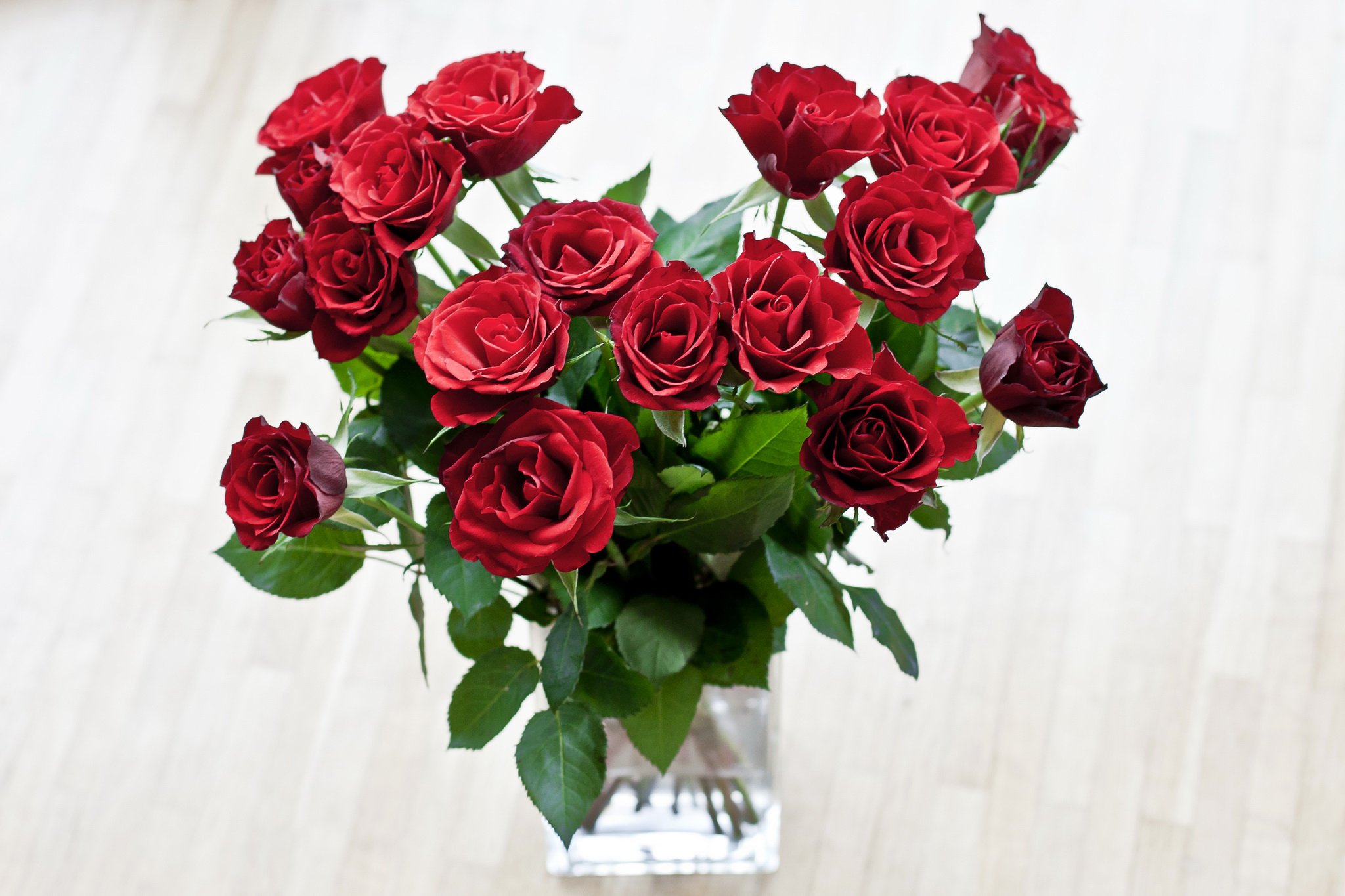 красные розы на столе картинки