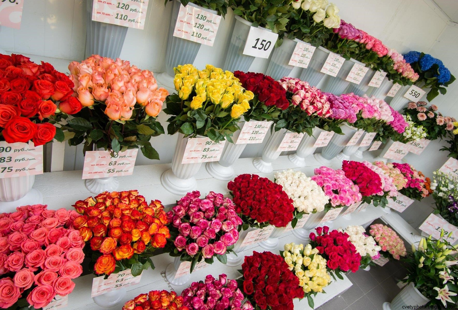 Живые цветы интернет магазин. ЦВЕТОПТ Липецк. Флоревиль пионы. Цветы магазинные. Розы в цветочном магазине.