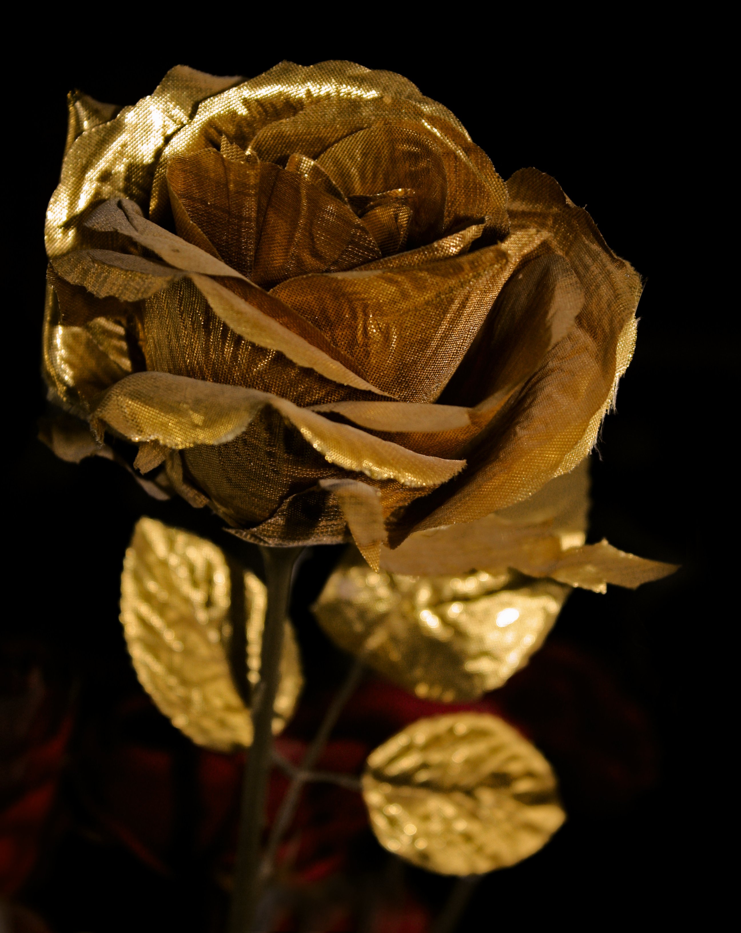 Золотая роза опус дей