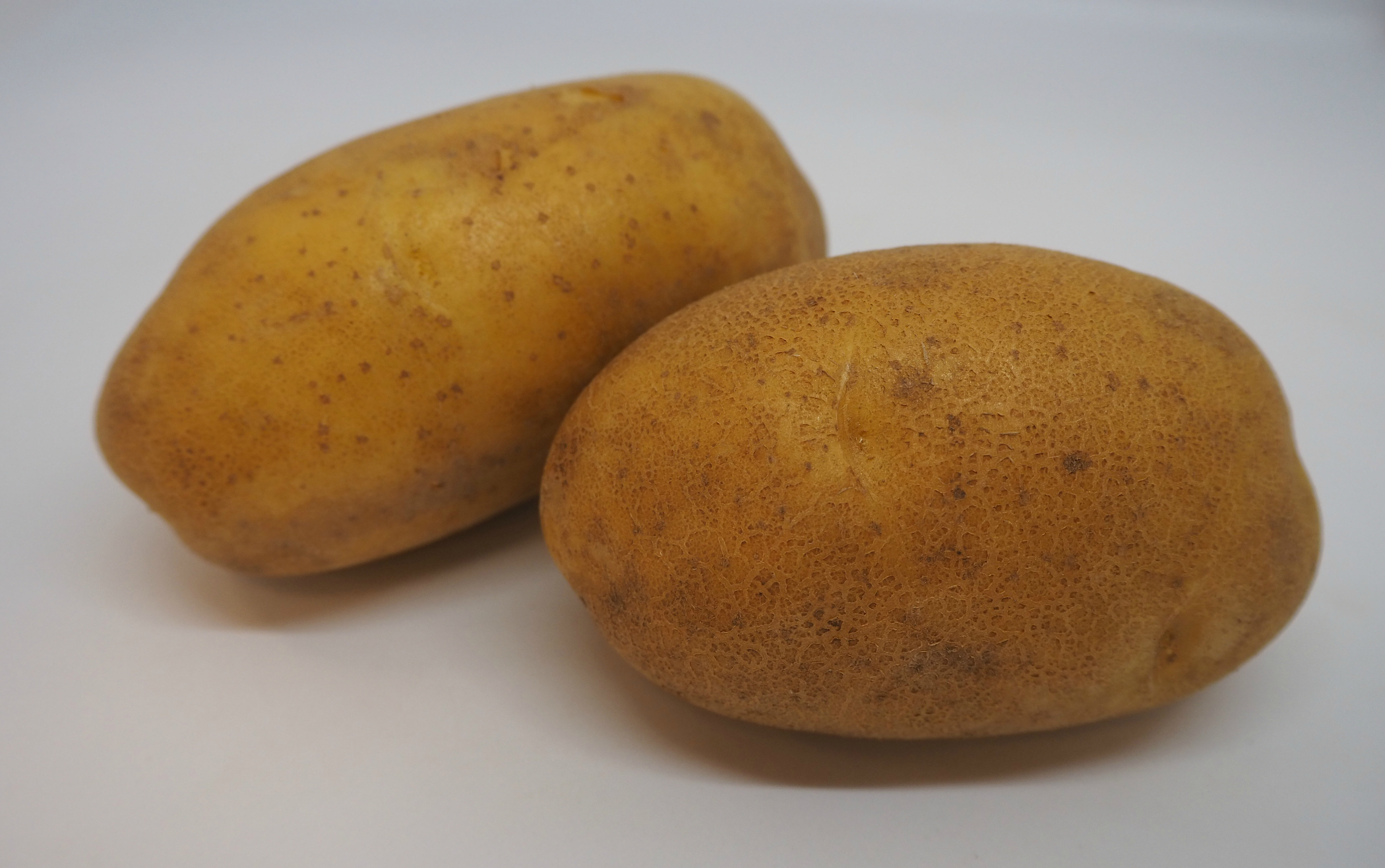 Столовая картошка. Сорт картофеля Германка. Картофель Эстрелла. Картофель Мерлот.