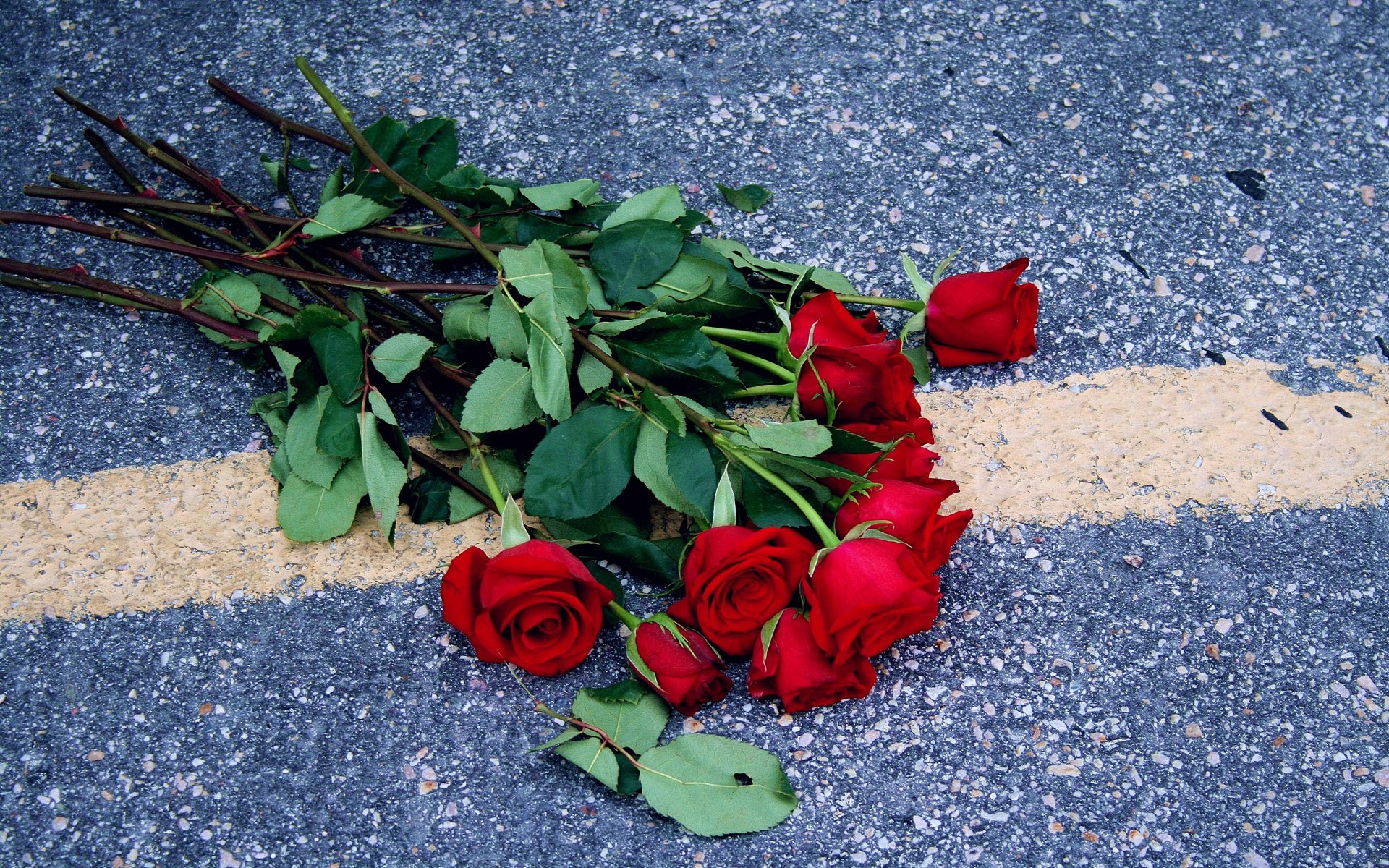 Устал роз. Выброшенные цветы. Выброшенный букет цветов. Выброшенные розы. Розы на полу.