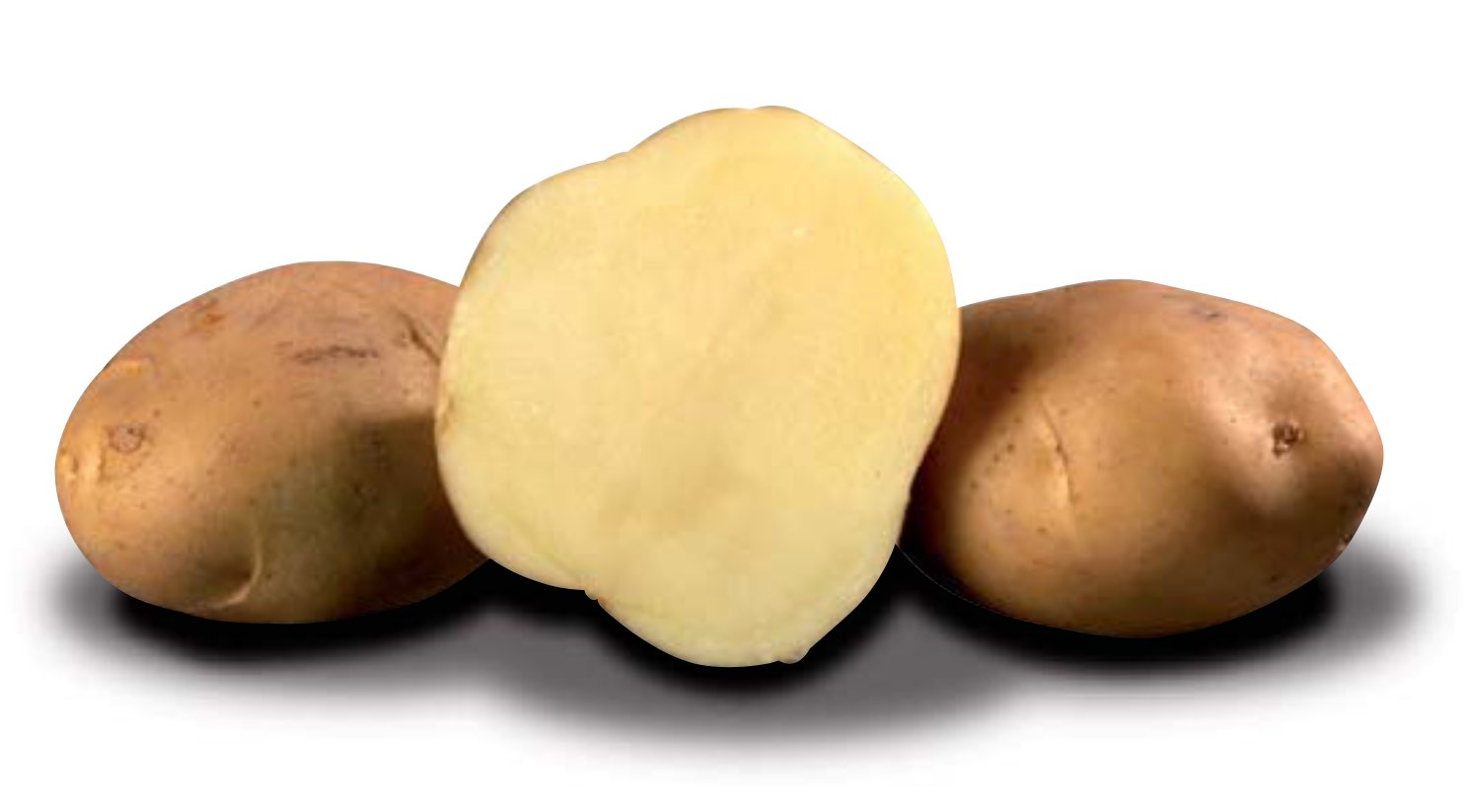 Картошка сынок. Сорт картофеля Романо. "Картофель Романо РС-1". Кормовые сорта картофеля. Сорт картофеля Маяк.