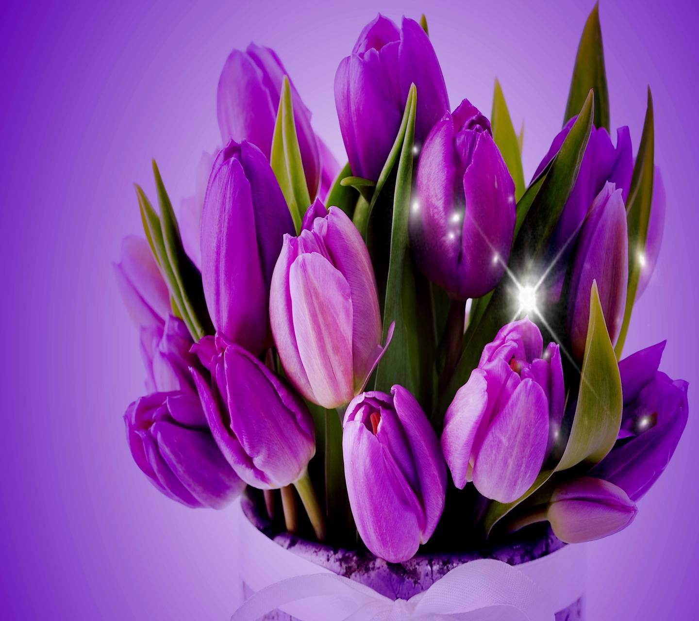 Тюльпаны открытки красивые с пожеланиями. Тюльпаны открытка. Тюльпан фиолетовый. Фиолетовые тюльпаны букет. Цветы тюльпаны фиолетовые.