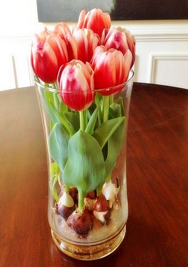 Как сделать чтобы тюльпаны закрылись. Dome тюльпаны (Tulips) 031003. Тюльпаны в гидрогеле. Тюльпаны в вазе.