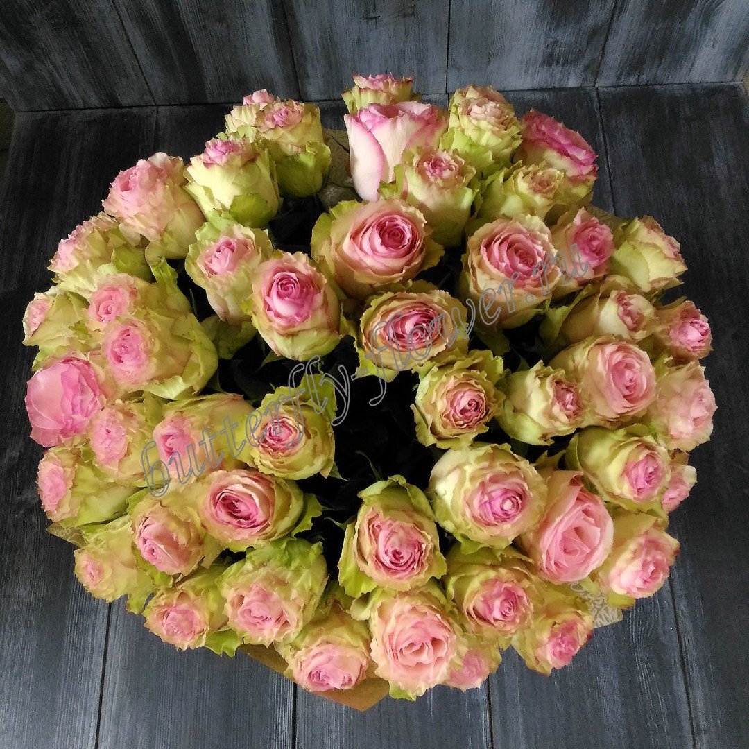 Esperance роза эквадор