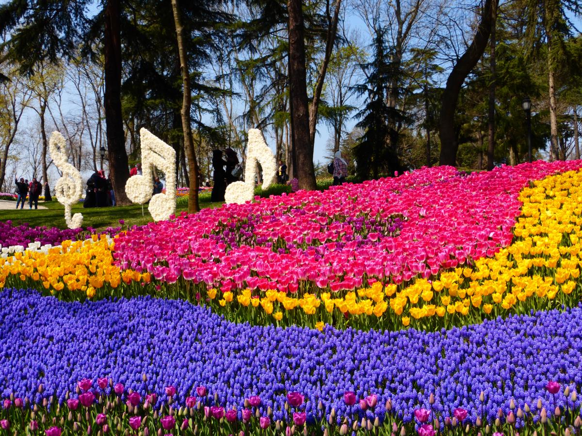 Парк Гюльхане в Стамбуле фестиваль тюльпанов