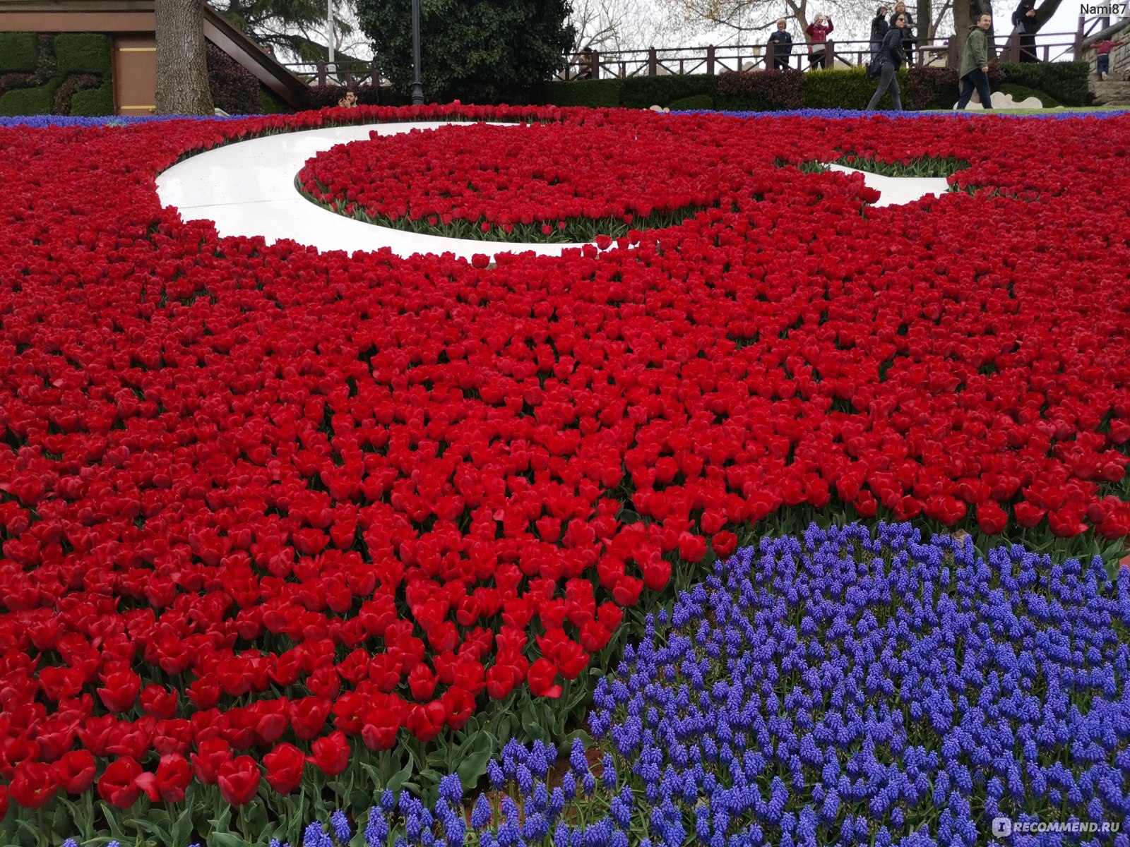Фестиваль тюльпанов в Стамбуле 2021