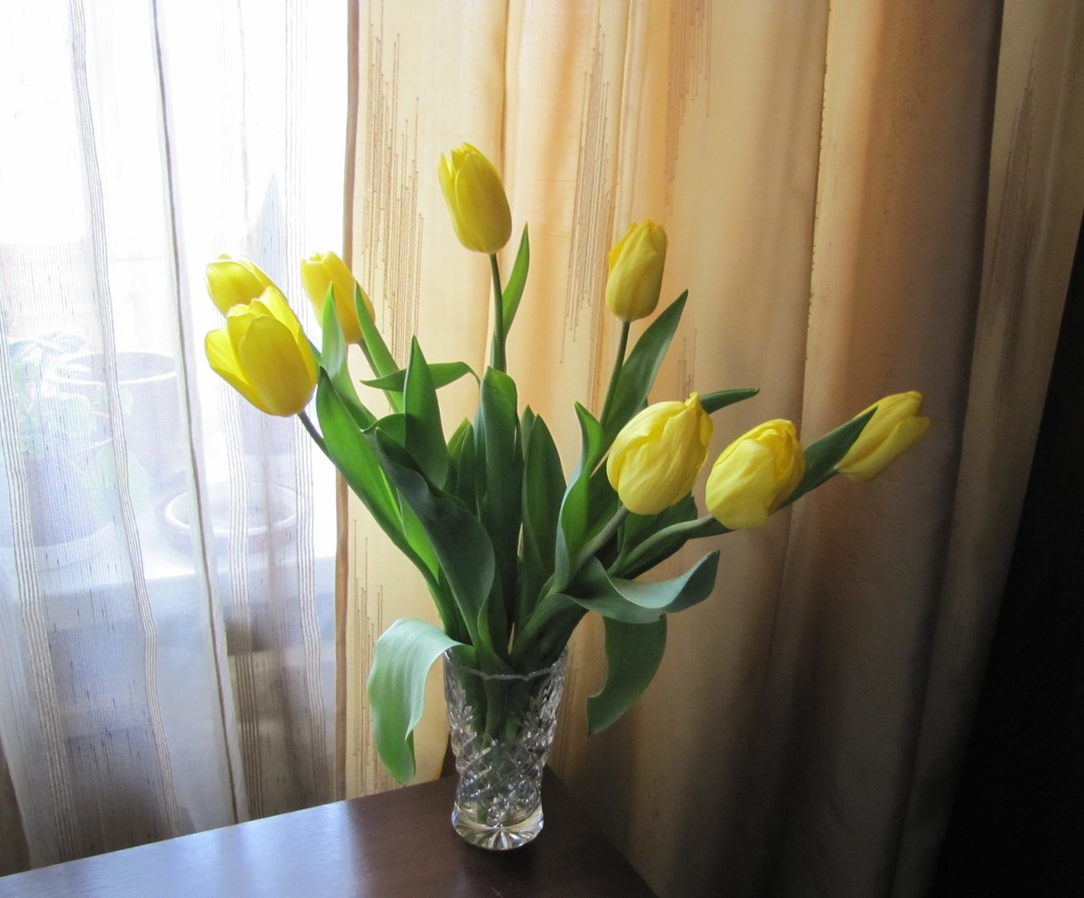 Букет тюльпанов фото в домашних условиях любительские