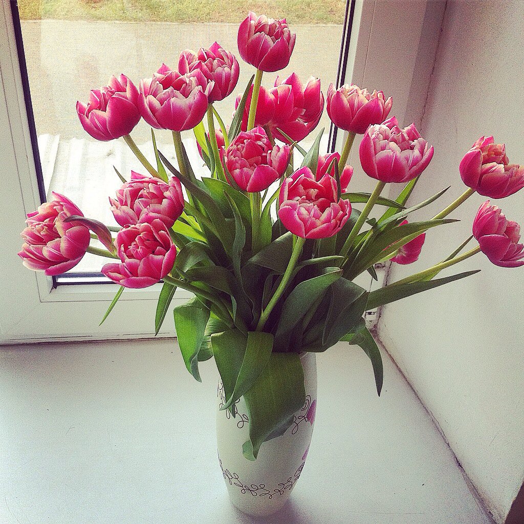 Букет тюльпанов в вазе дома реальные фото