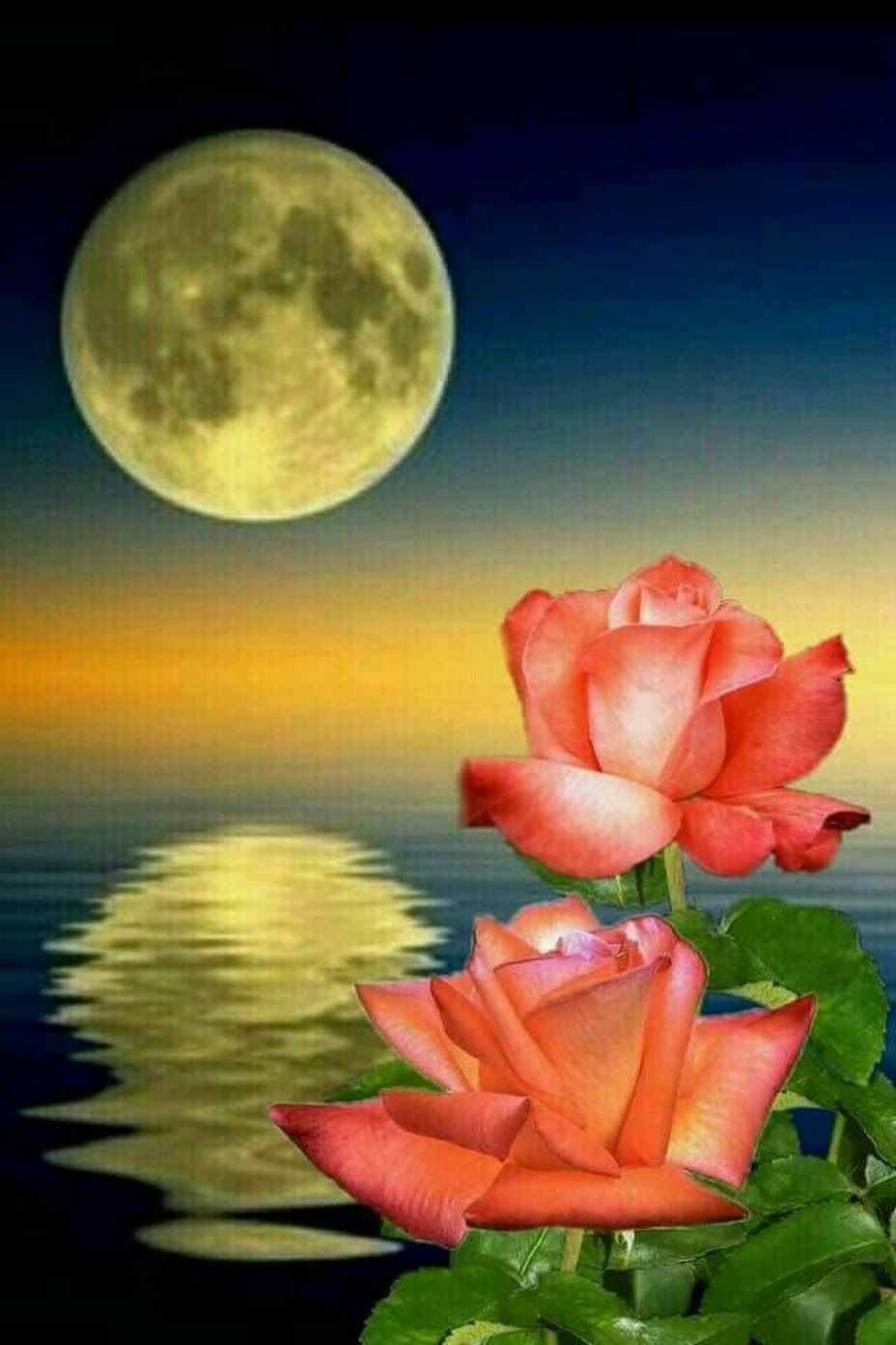 Спокойной ночи Луна цветы