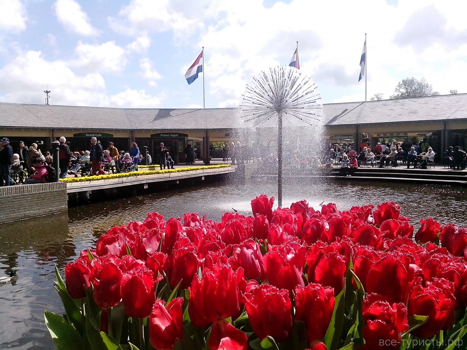 Нидерланды Амстердам тюльпаны парк