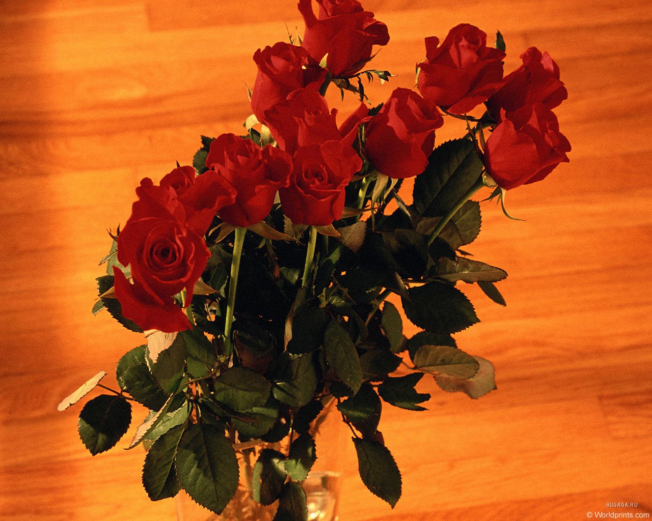 Розы фото дома на столе