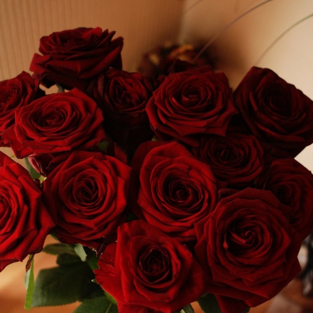 Красные розы букет в доме