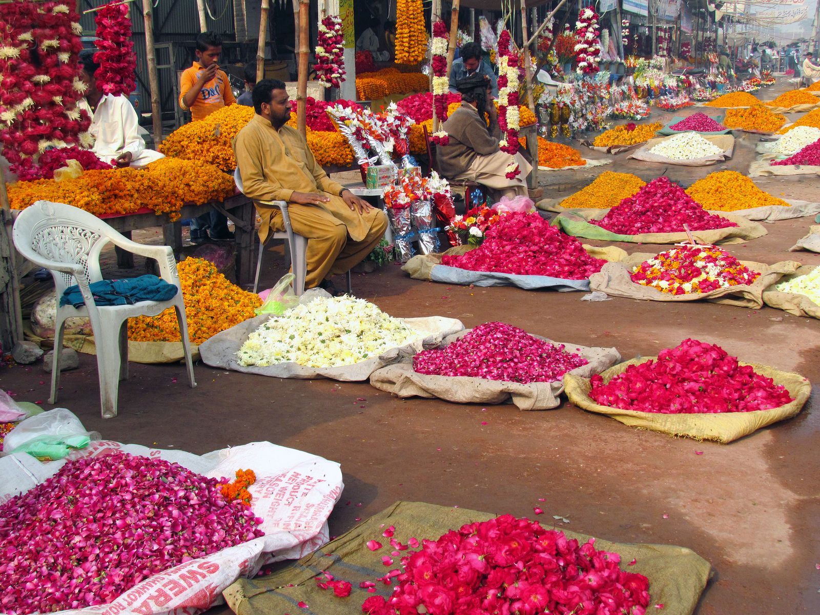 Цветы Пакистана