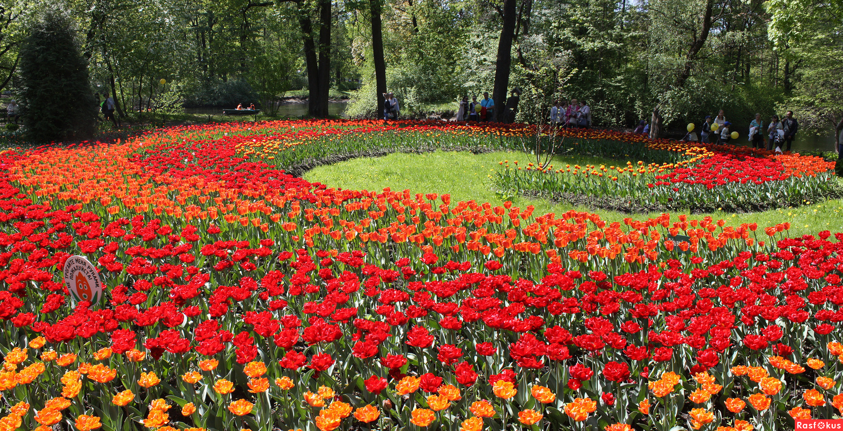 На Выставку Цветов Привезли 720 Тюльпанов