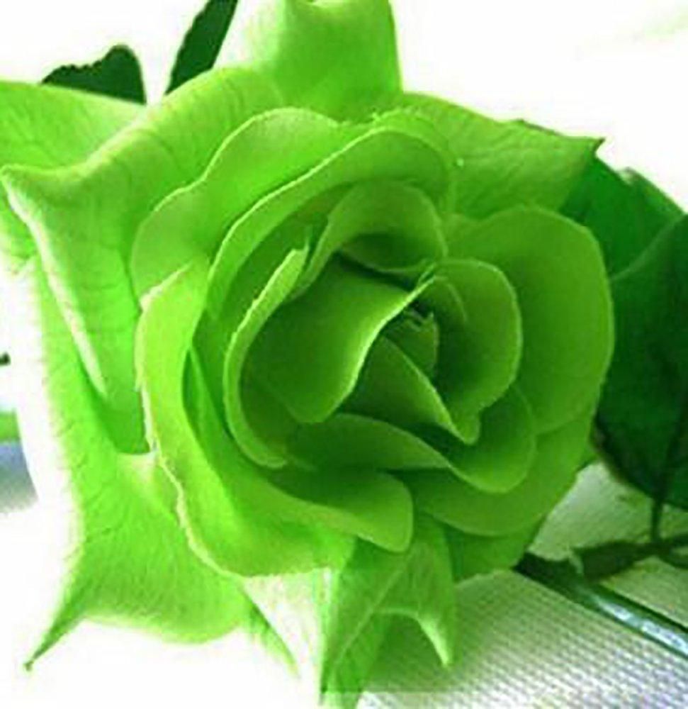 Зелёный Гарден роза