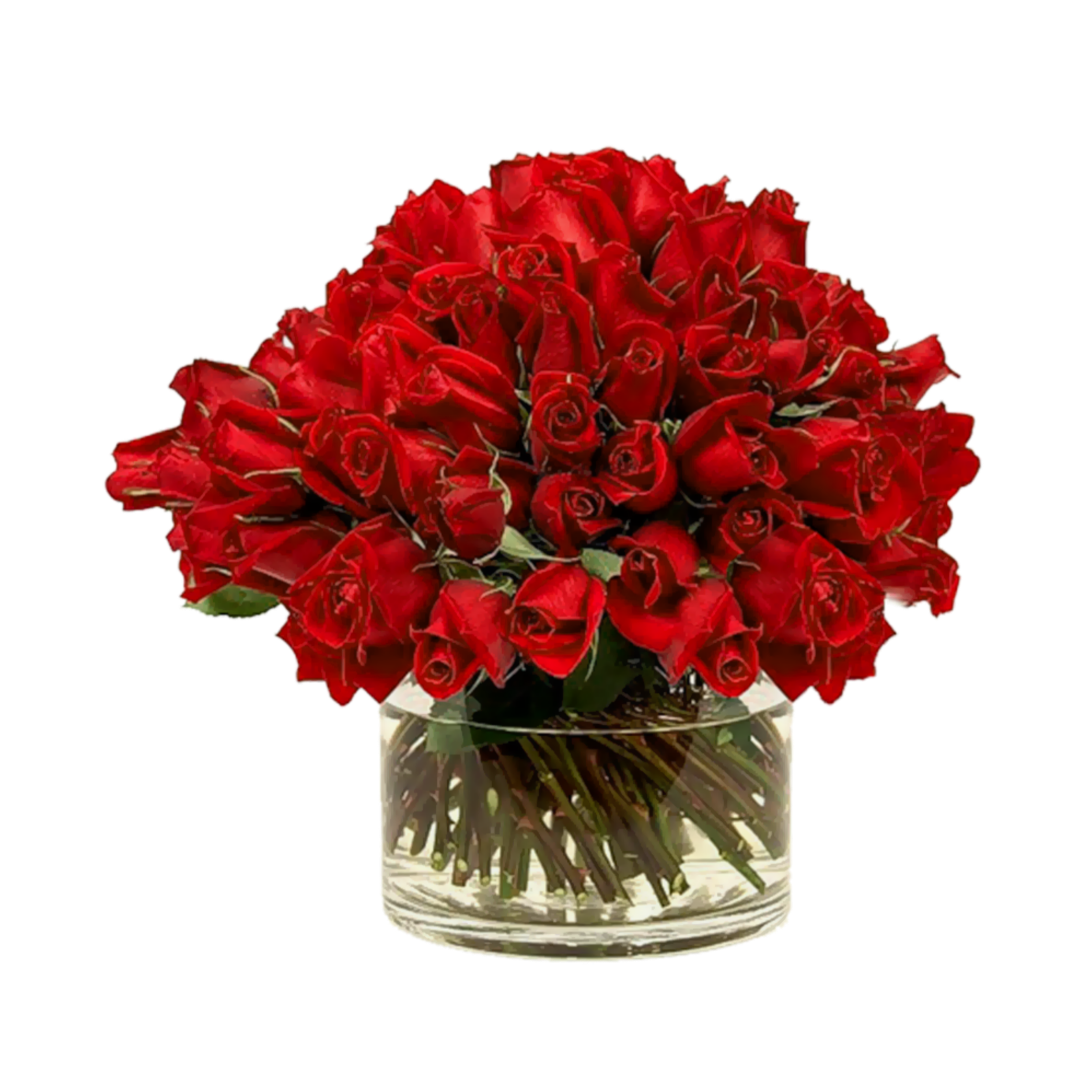 Букет роз омск. Красивый букет роз. Букет красных роз в вазе. Букет роз огромный с днём рождения. Открытка "букет".