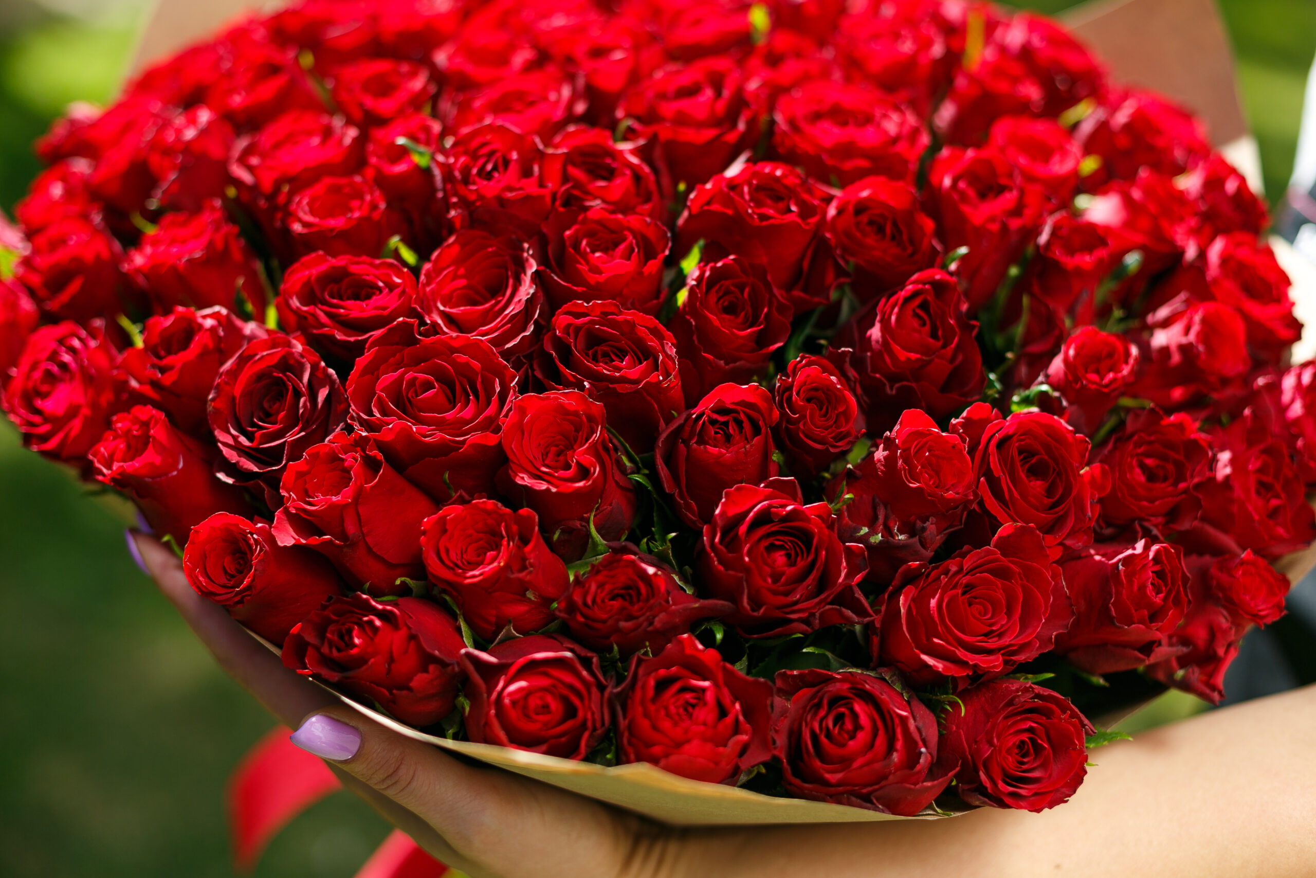 В букете было красных роз. Шикарный букет роз. Букет роз огромный. Букет красных роз. Огромный букет красных роз.