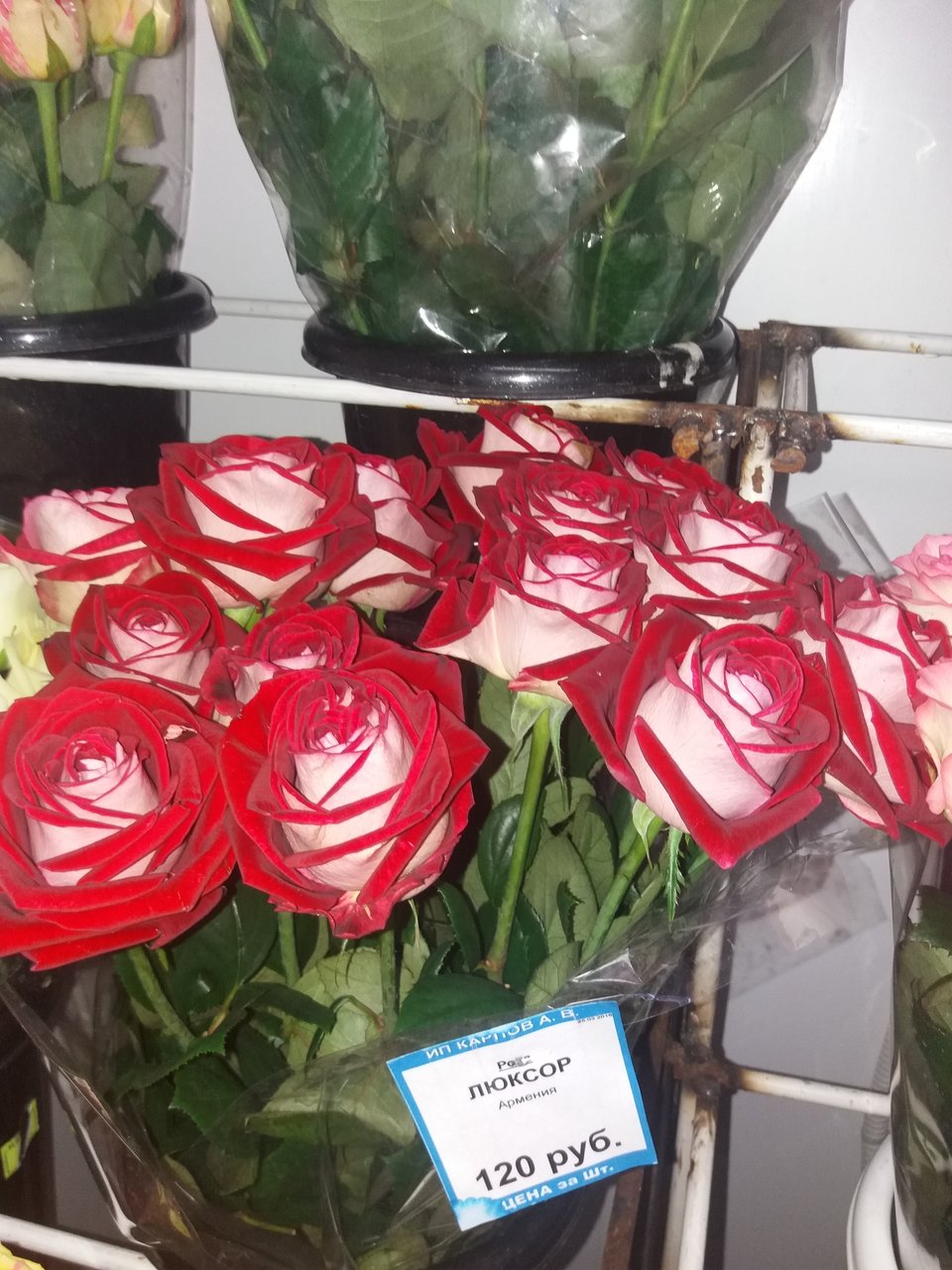 Купить розы в цветочном магазине. Розы в цветочном магазине. Розы цвета в цветочном магазине. Букет роз в магазине. Розы штучно.