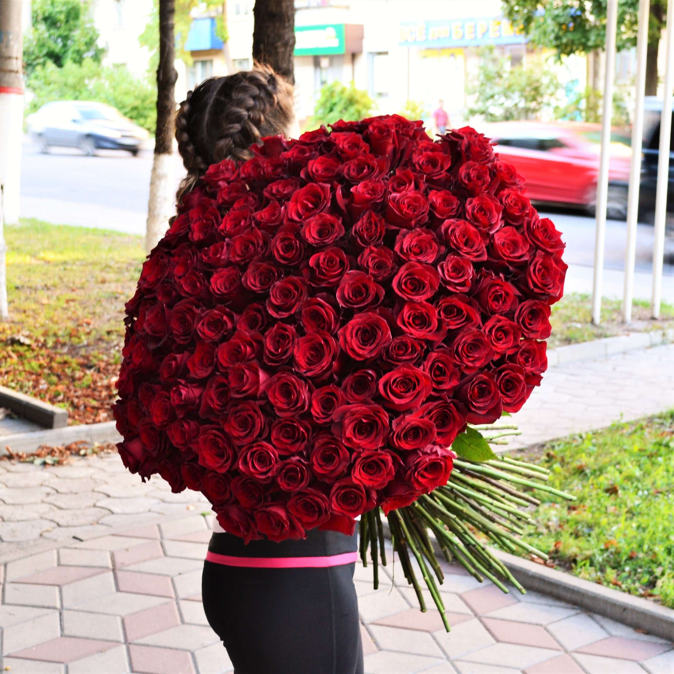 фото огромных красных роз