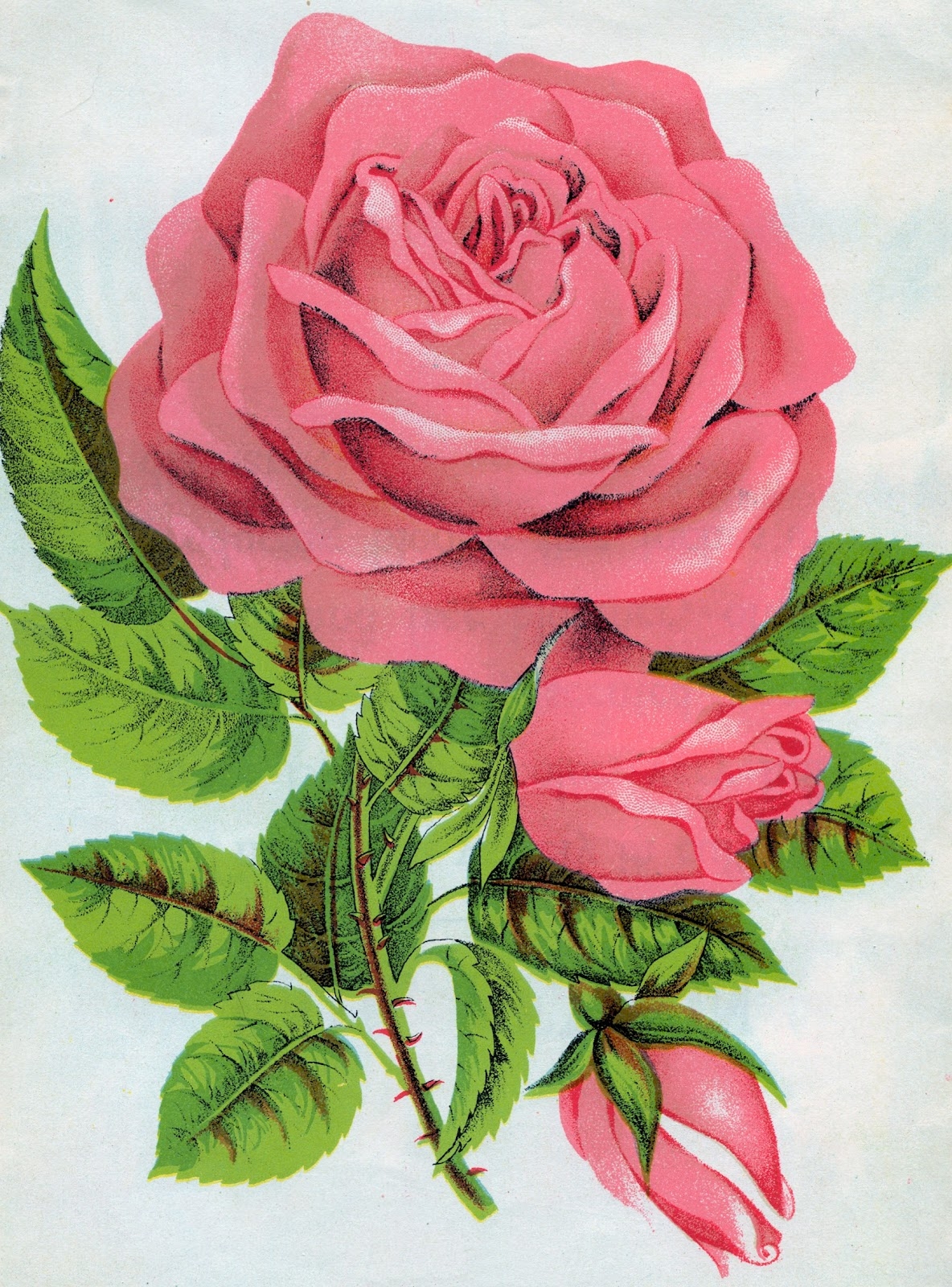 Розовый цветок нарисованный. Красивые рисунки цветов. Рисовать цветы. Нарисовать розу. Рисунки цветов цветные.