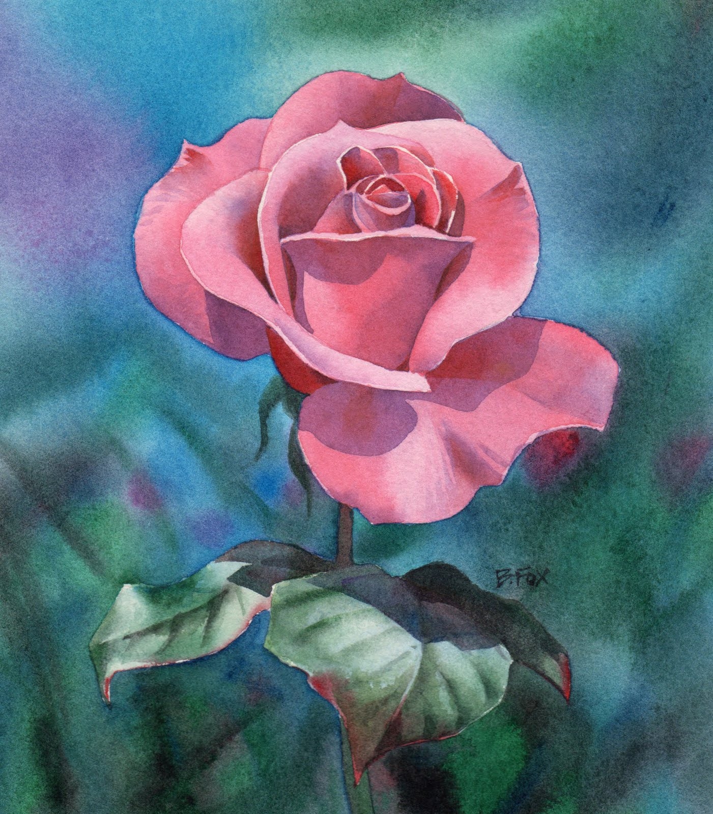 Розовый цветок нарисованный. Художник Maureen Bainbridge.. Австралийская художница Maureen Bainbridge.