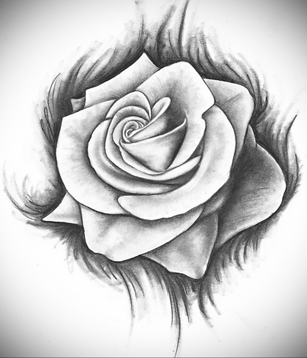 Фото нарисованной розы (74 фото) .