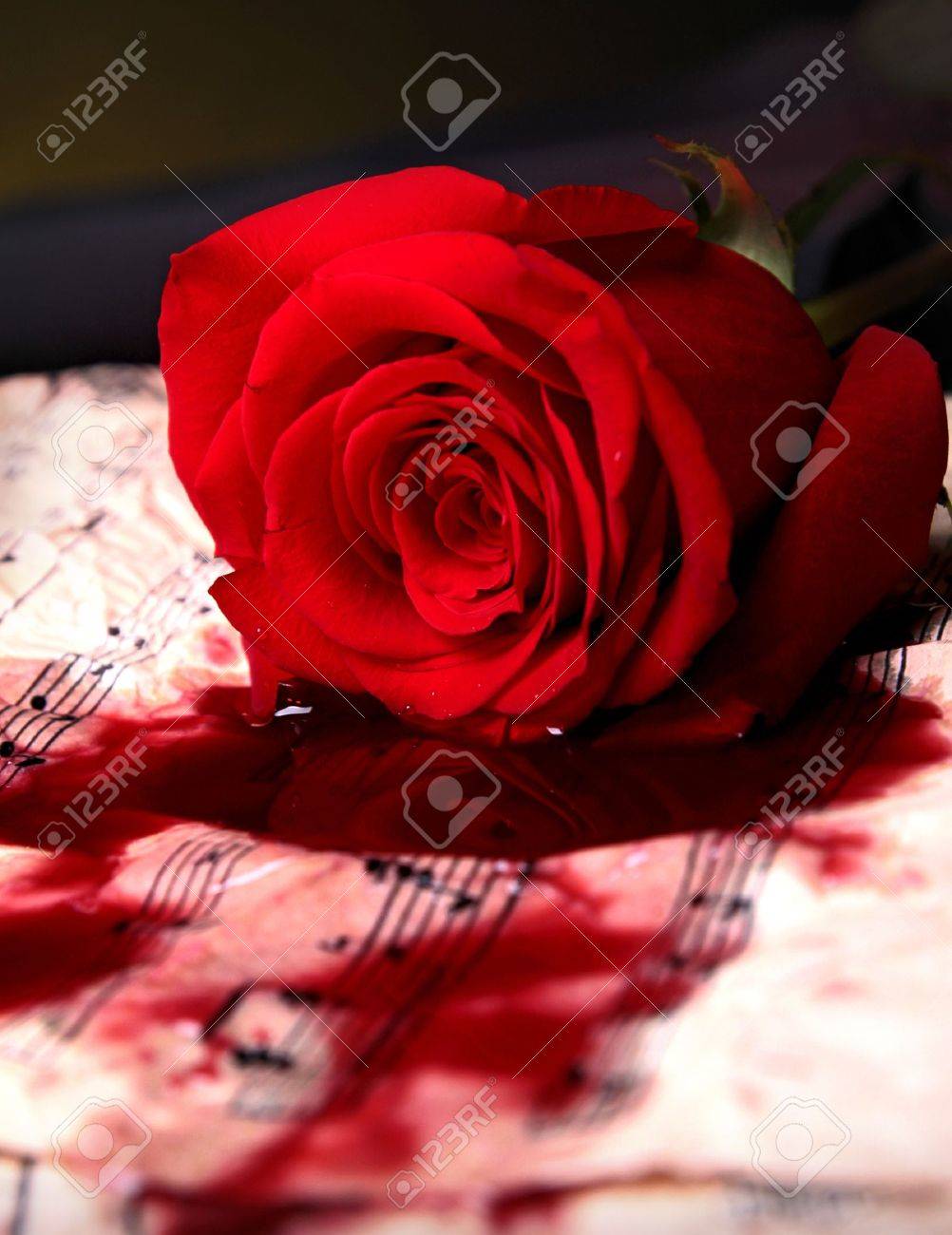 Окровавленные розы и сердце