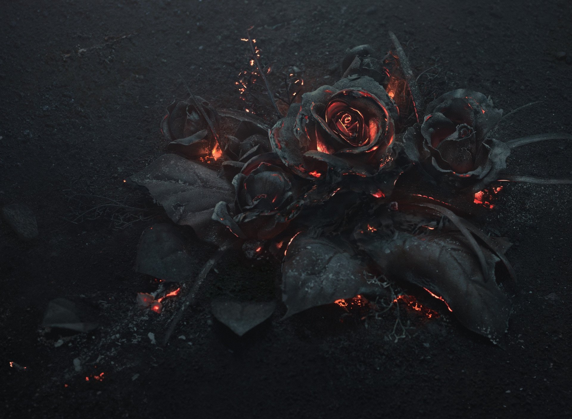 Мрачные розы. Кровавые цветы 224