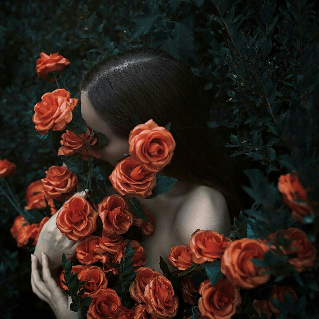 Persephone rose