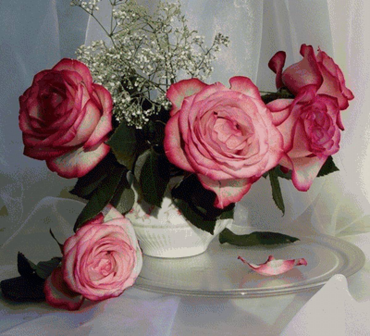 Красивые натюрморты с розами