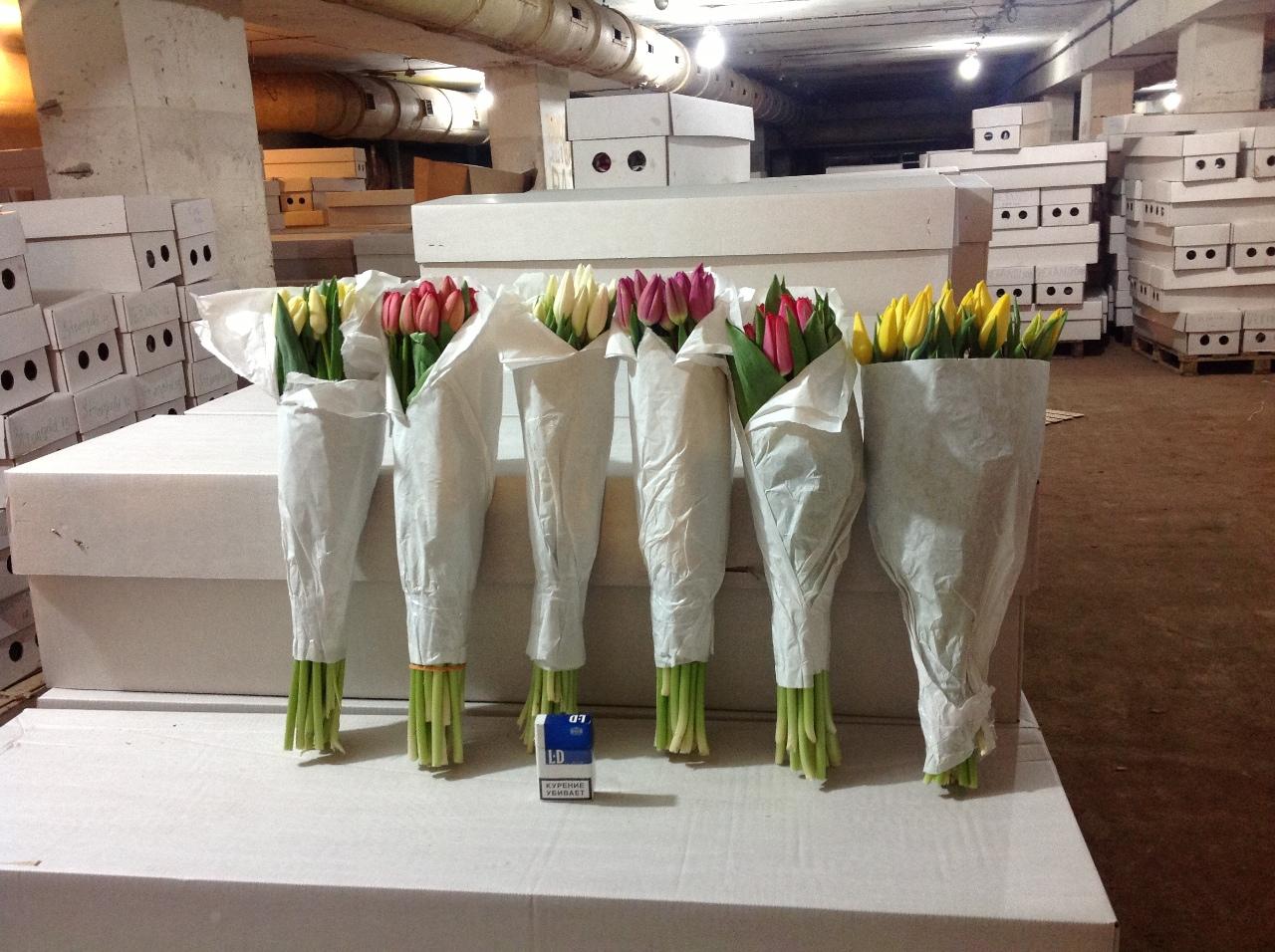 Тюльпаны на складе