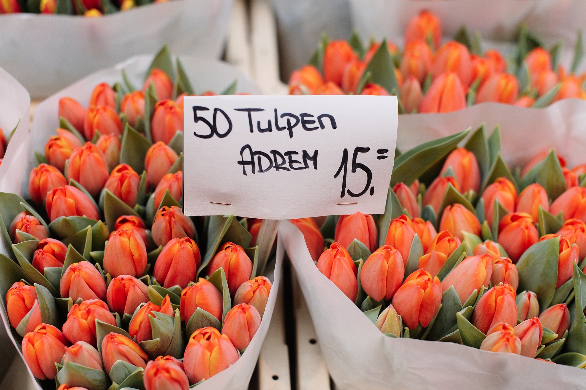 Стоимость одного тюльпана