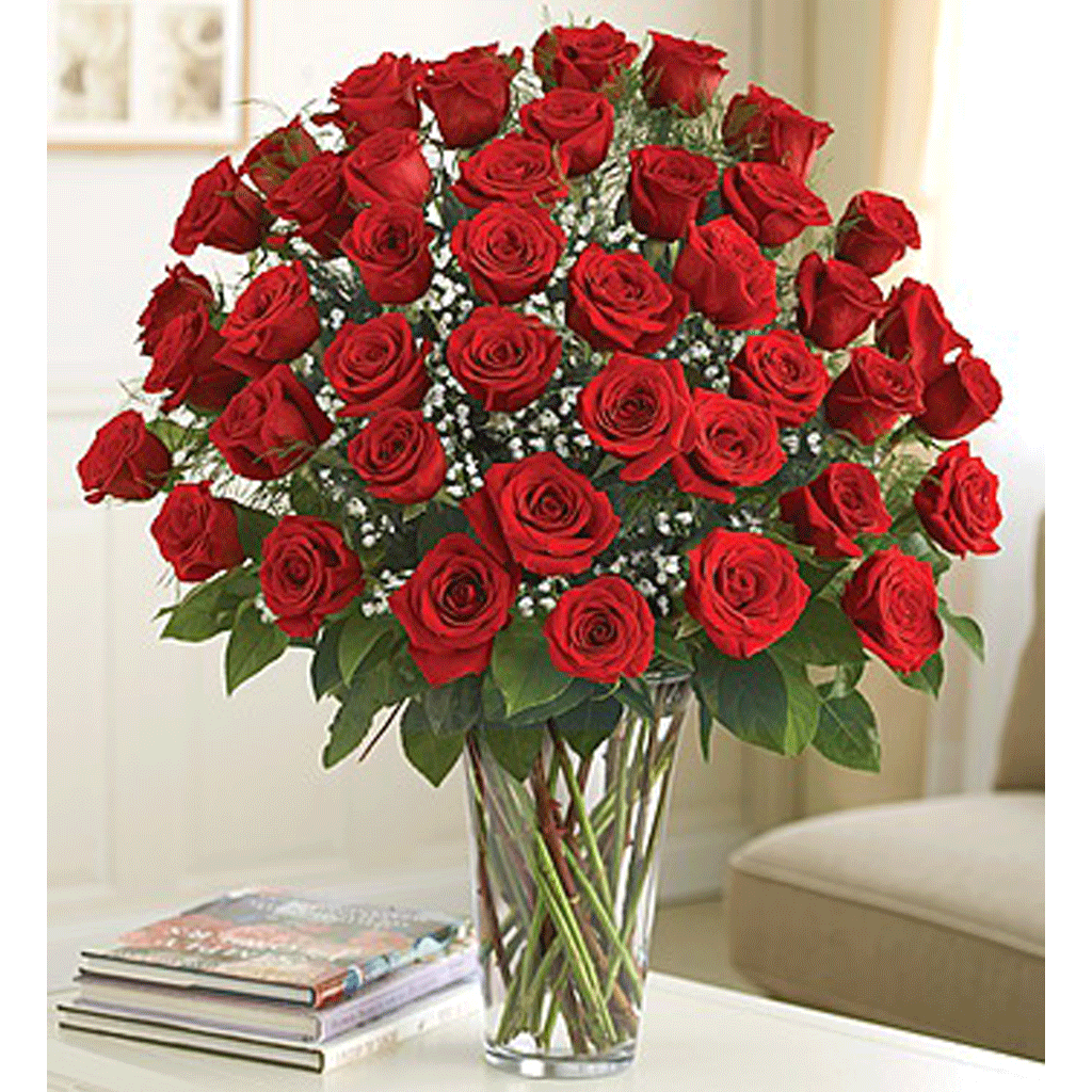 Сколько стоят цветы розы в вазе. Шикарный букет роз. Огромный букет. Огромные букеты из роз. Букет роз огромный.