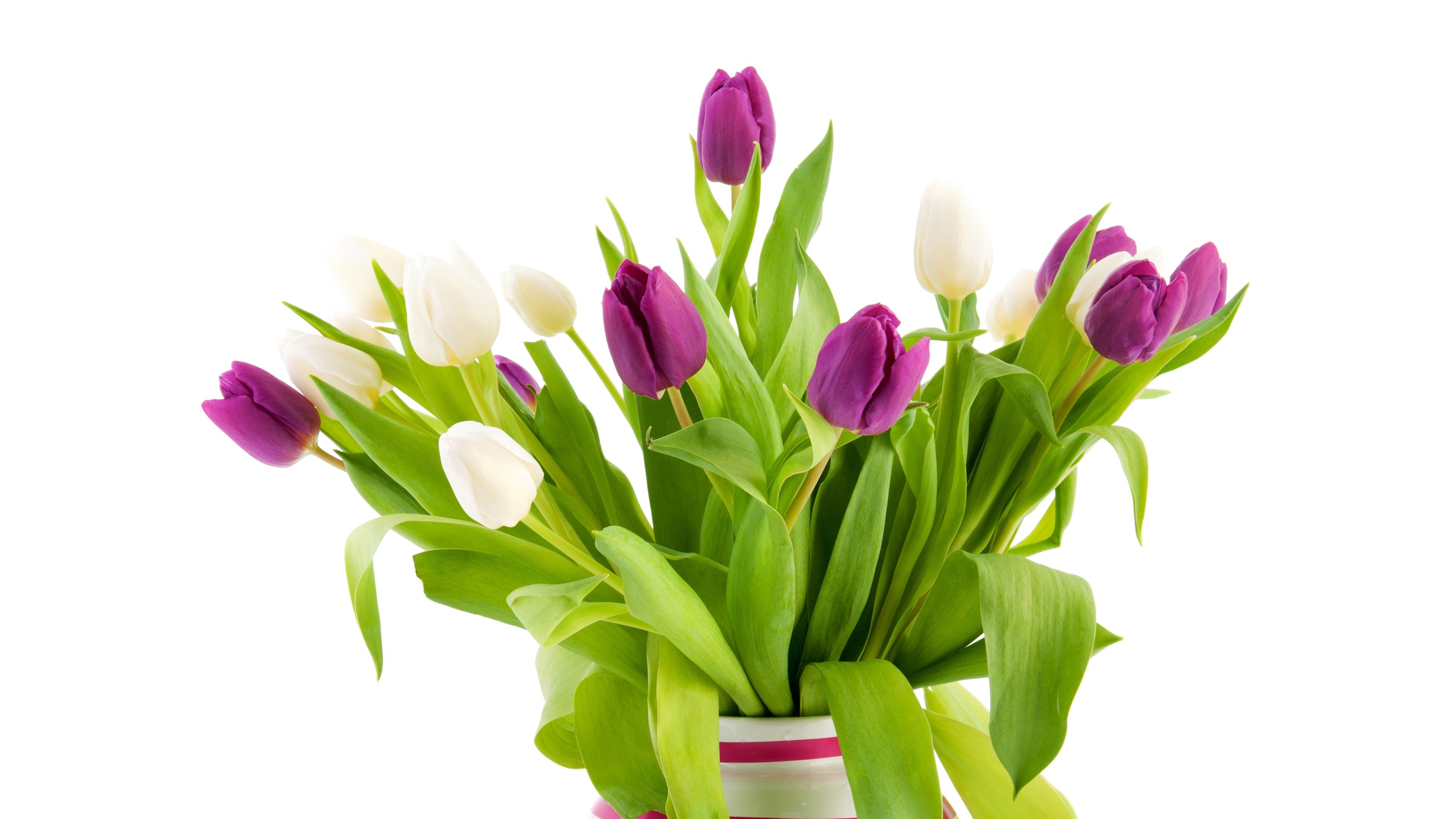 Тюльпаны в вазе