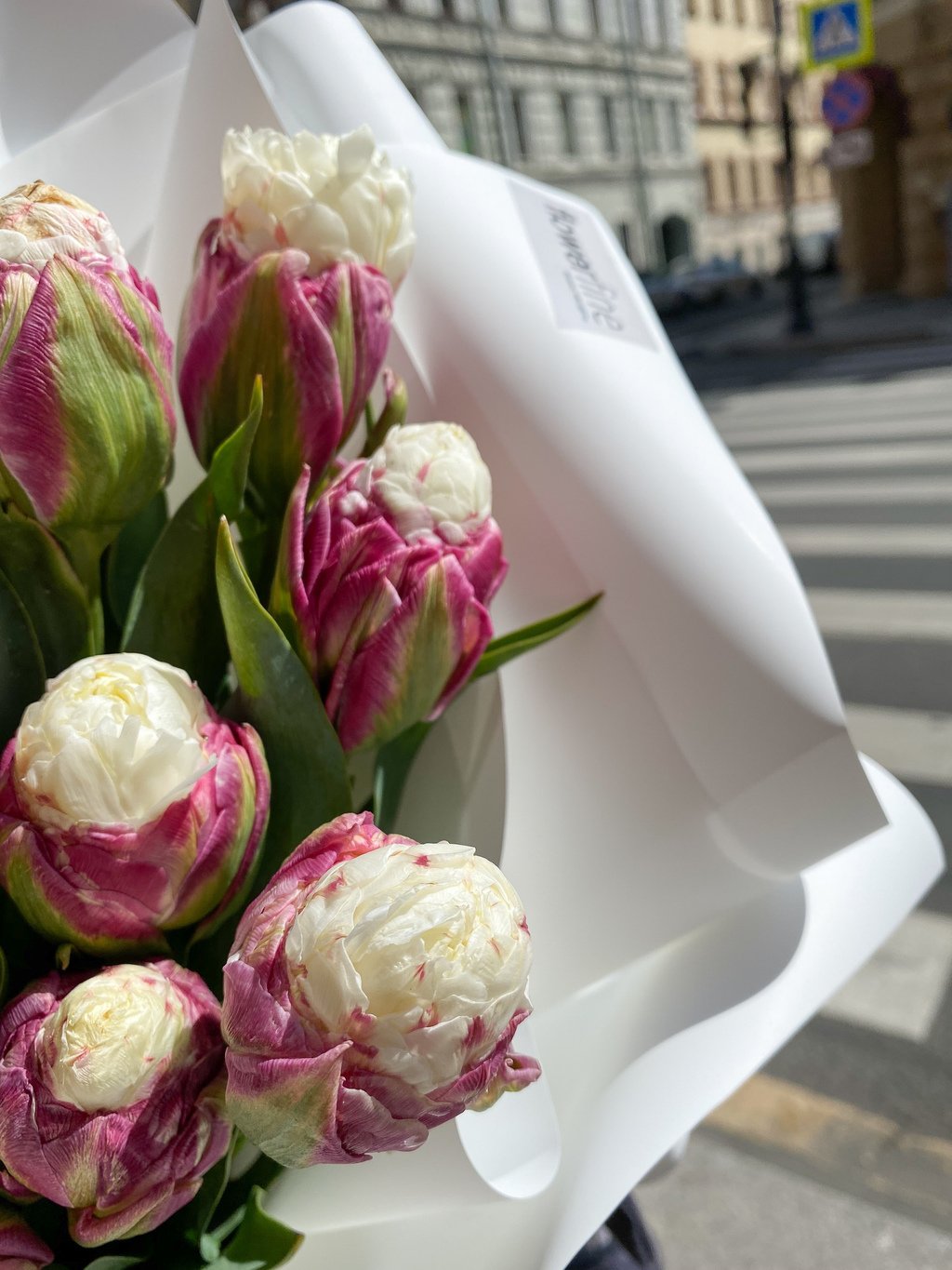 Пионовидные тюльпаны фото