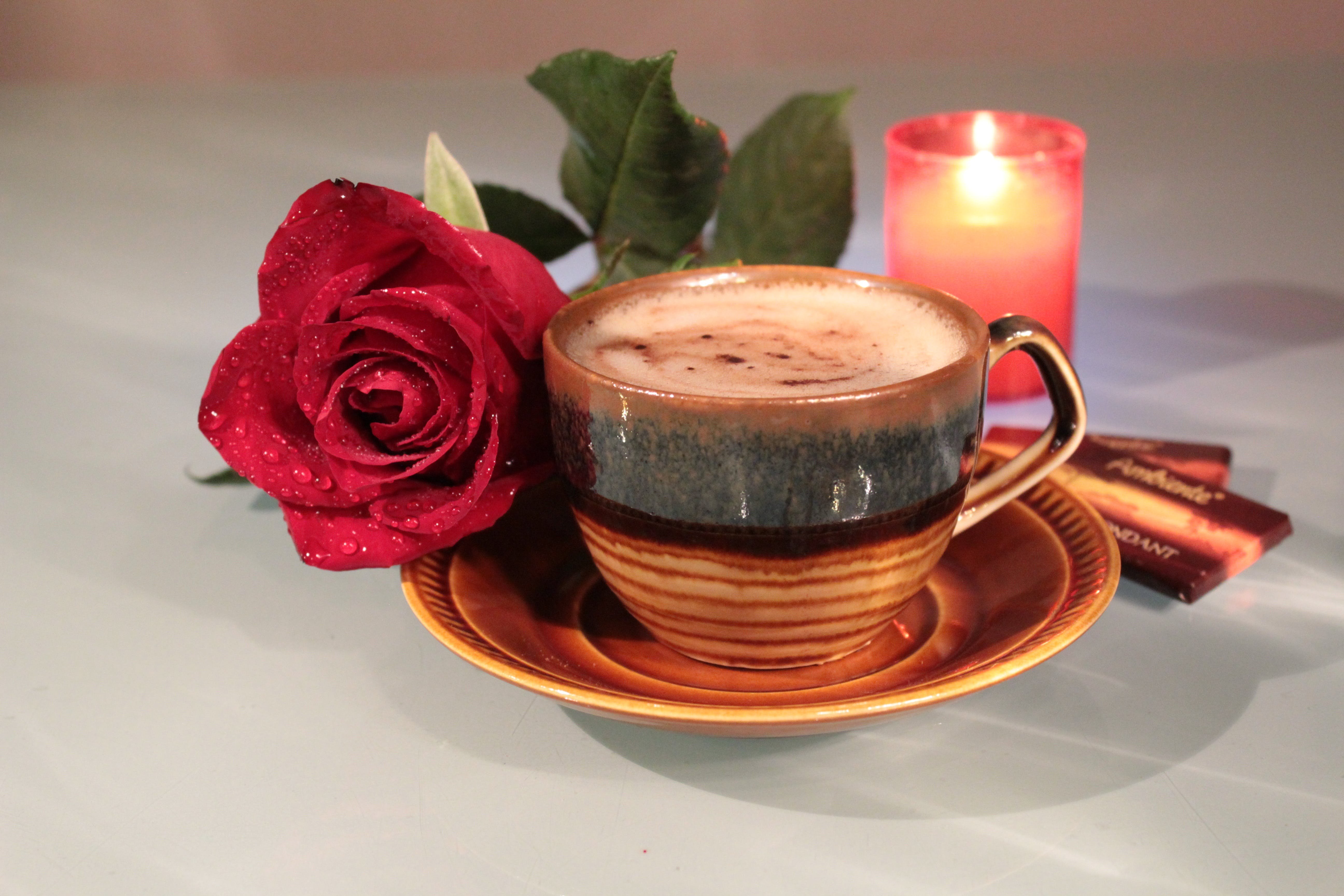 Роза кофе латте (77 фото) 