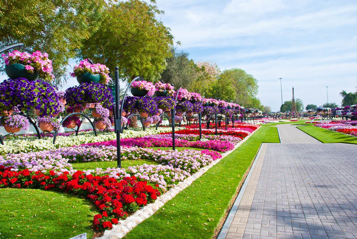 Парк цветов в Аль-Айне (г. Аль-Айн) апрель
