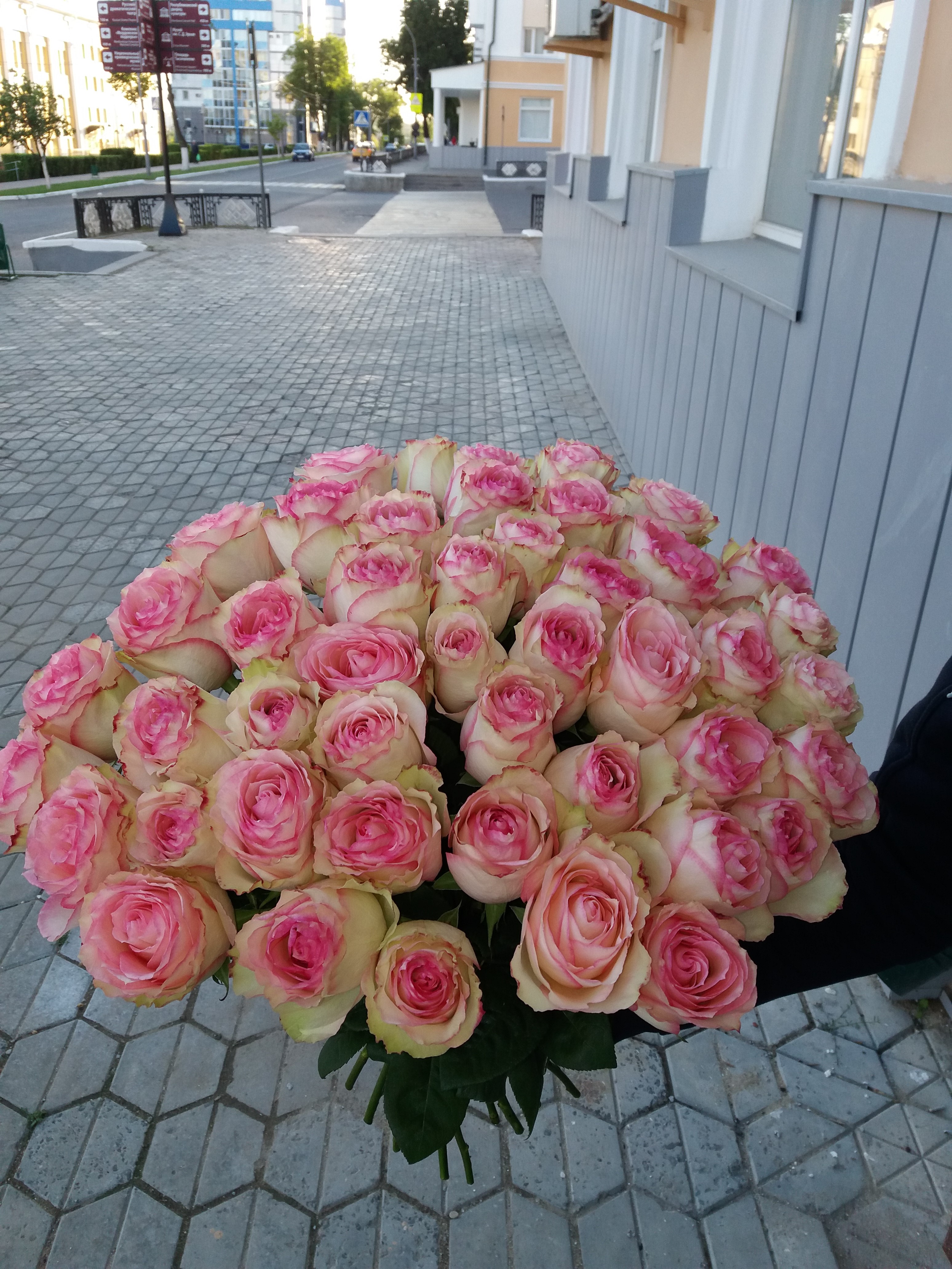 Розы нидерланды