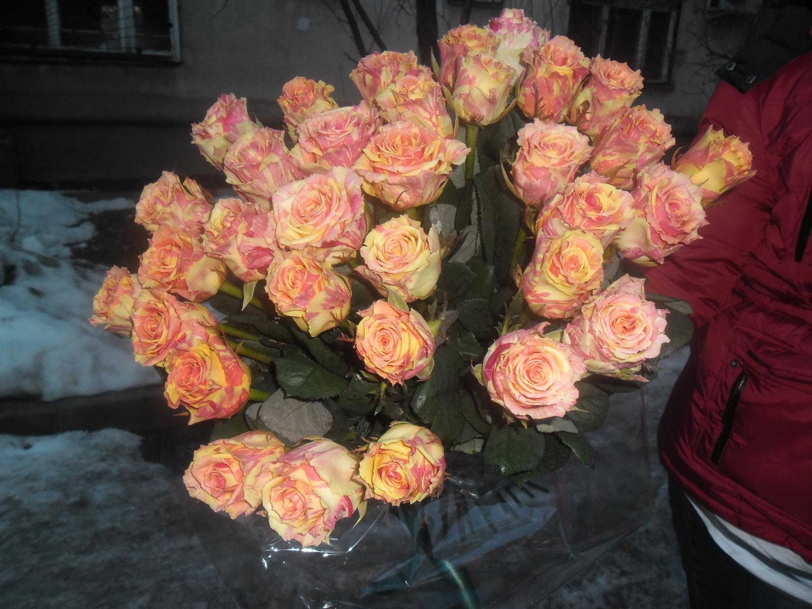 Алматинские розы