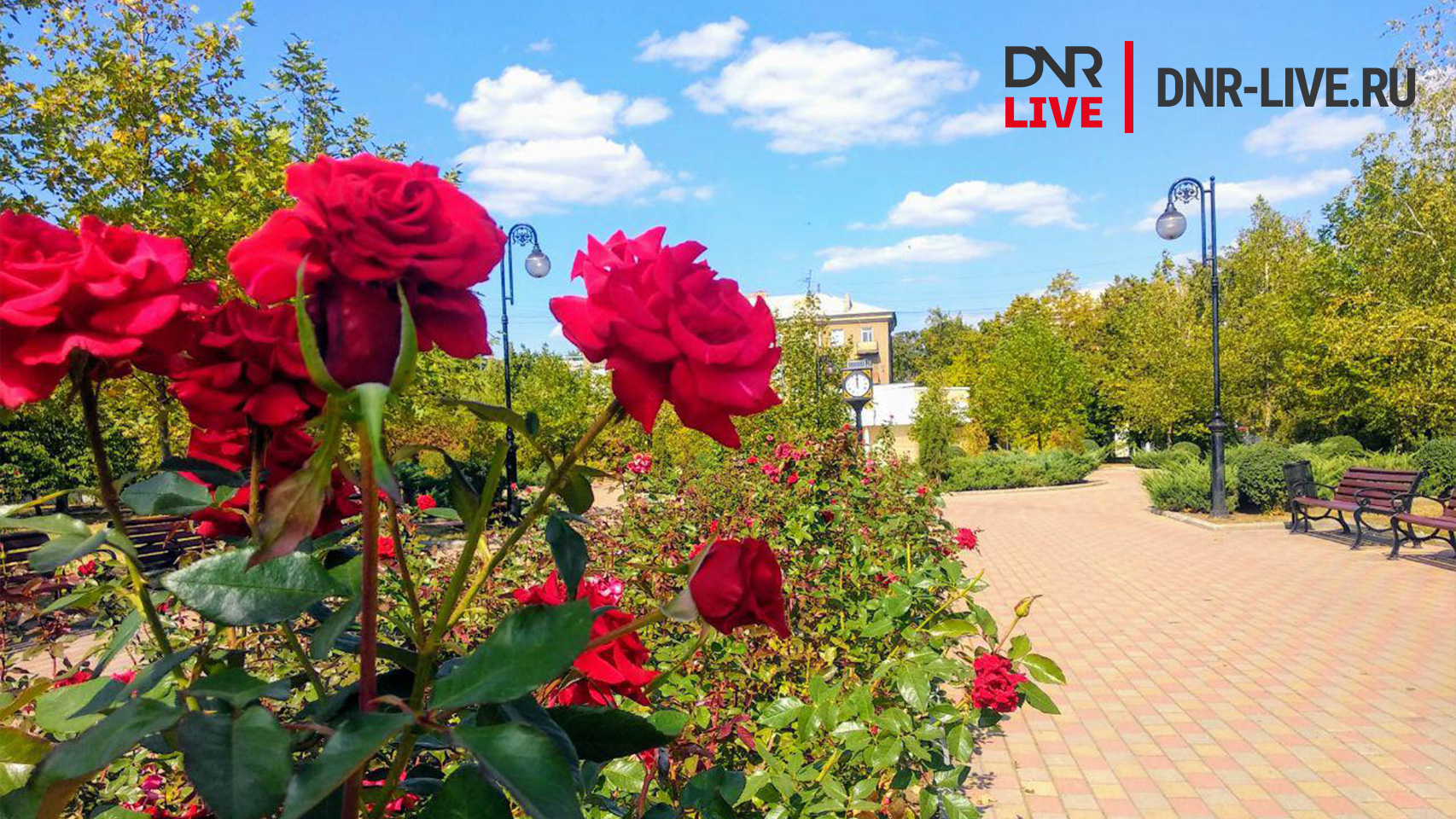 Донецк город роз красивые фото