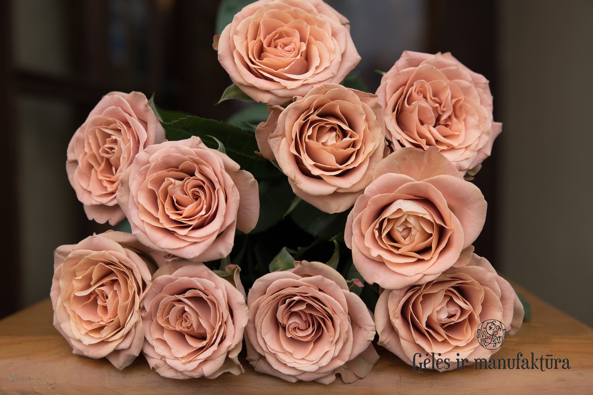 Розы Цвета Капучино